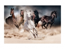 OBRAZ HORSES 120X80